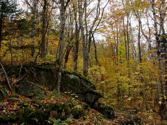 Větší verze po kliknutí. Cestou na vrchol hory Mont-Termblant, Kanada (9. 10. 2007)