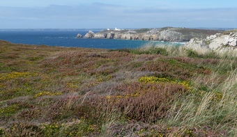 Větší verze po kliknutí. Normandie a Bretaň, srpen-září 2008