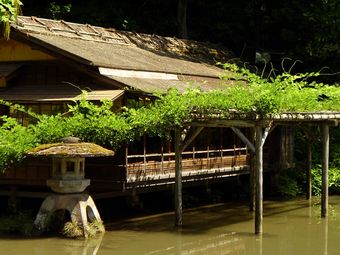Větší verze po kliknutí. Kanazawa - v zahradě Kenroku-en, Japonsko (4. září 2010)