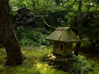 Větší verze po kliknutí. Kanazawa - v zahradě Gyokusen-en, Japonsko (4. září 2010)