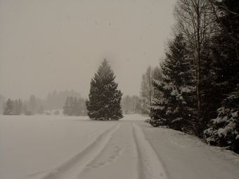 Větší verze po kliknutí. Suché vrchy, Vojnův Městec (2. ledna 2011)